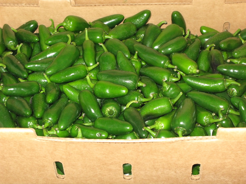  Jalapenos © Pamela J. Willits